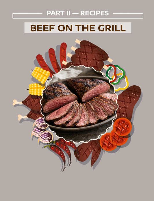 Grill Cookbook for Beginners