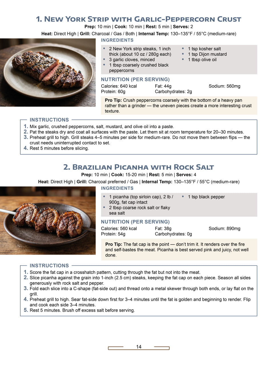 Grill Cookbook for Beginners