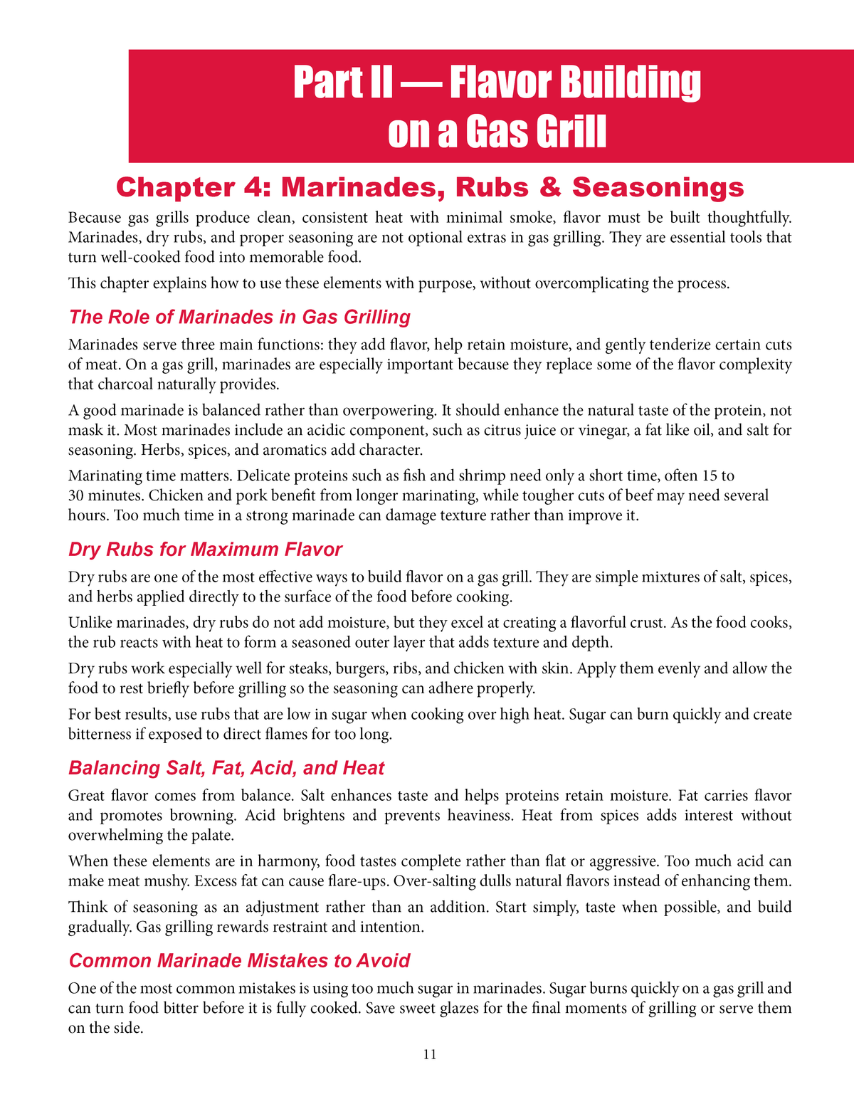 The Gas Grill Cookbook for Beginners