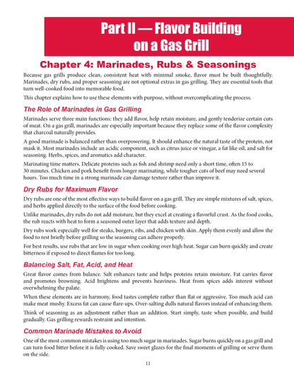 The Gas Grill Cookbook for Beginners